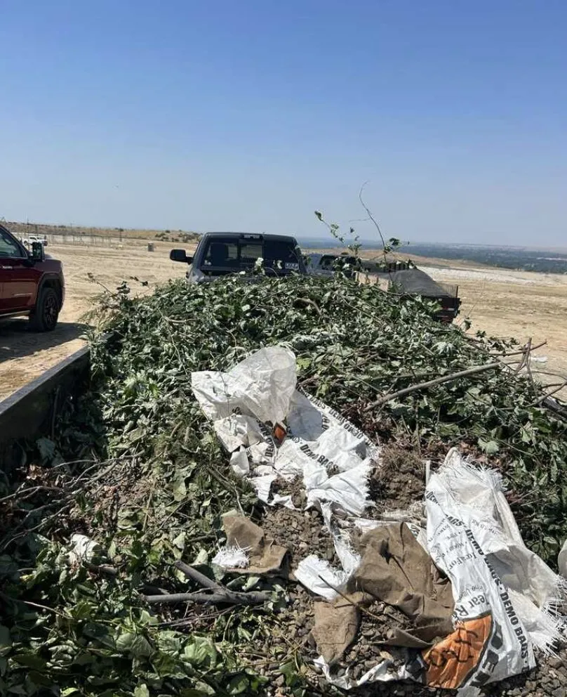 Professional yard cleanup service with custom design across Boise, ID - Ryan's Removal