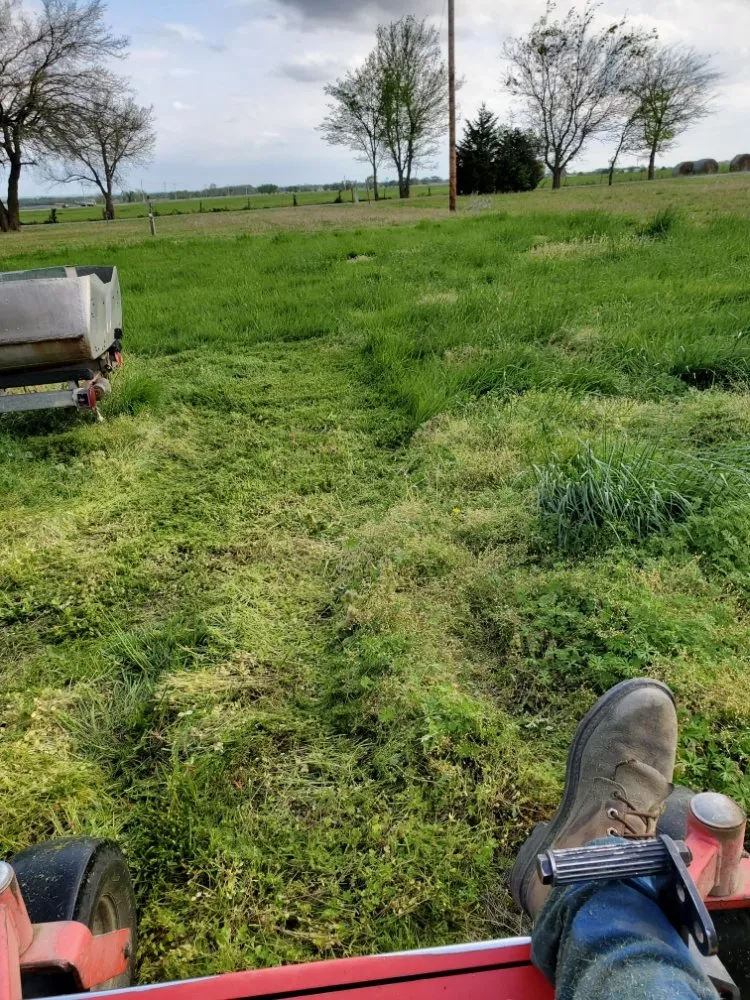 Professional yard cleanup service in Nowata, OK - Ryan's Services