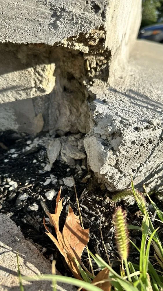 Expert yard maintenance near you in Cincinnati, OH by Ryan's Sidewalk and Patio Repair