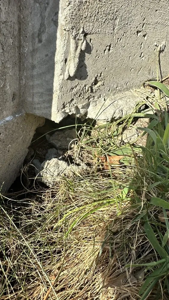 Top-rated landscaping services experts serving Cincinnati, OH - Ryan's Sidewalk and Patio Repair