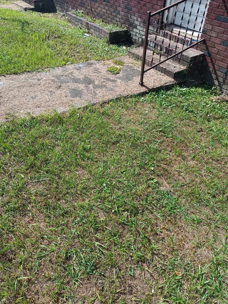 Local residential landscaping for outdoor upgrades in Cordova, SC by Ryants Lawn Services