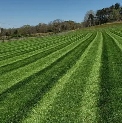 Trusted outdoor landscaping for beautiful yards in Rome, PA by Ryces Lawnscape and Lawn Care Services