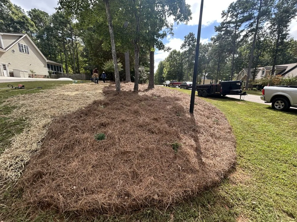 Affordable residential landscaping for year-round maintenance in Wake Forest, NC by Ryco Landscape Solutions