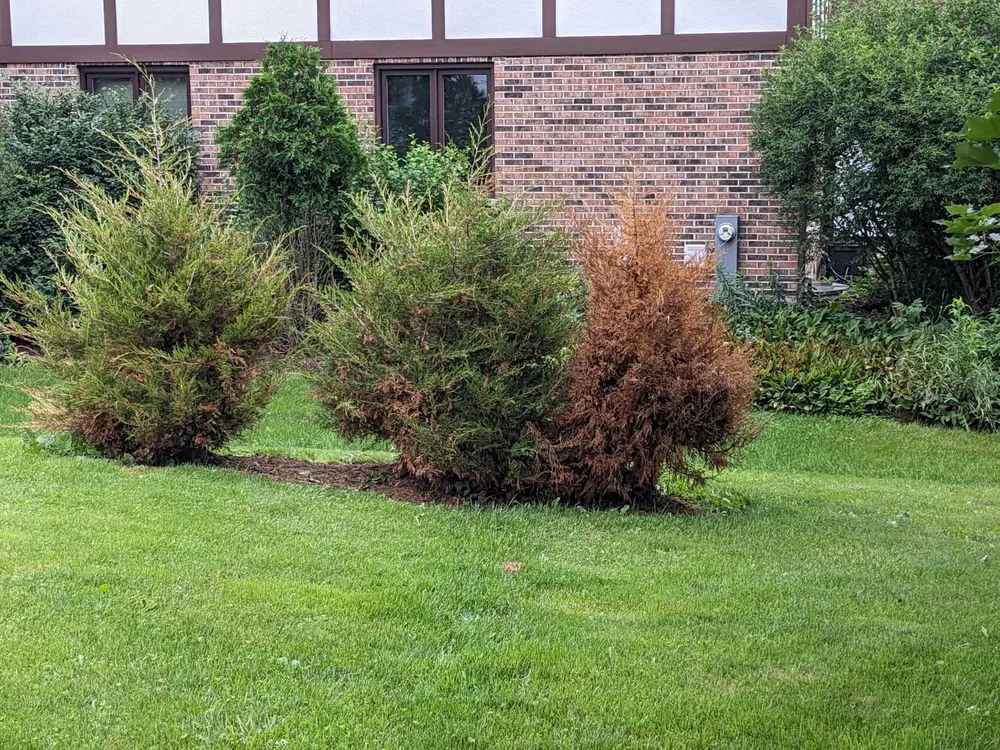 Expert lawn mowing service in Lake In the Hills, IL - RYCO Landscaping