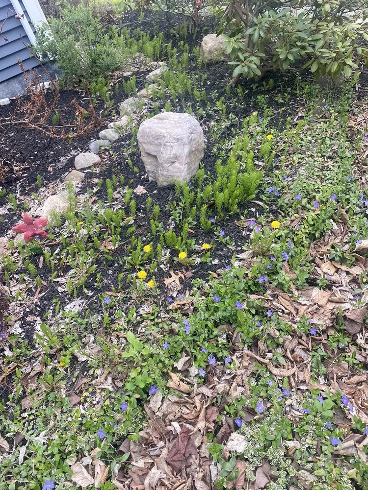 Top-rated lawn care service in Auburn, NY - Rycoe Enterprises