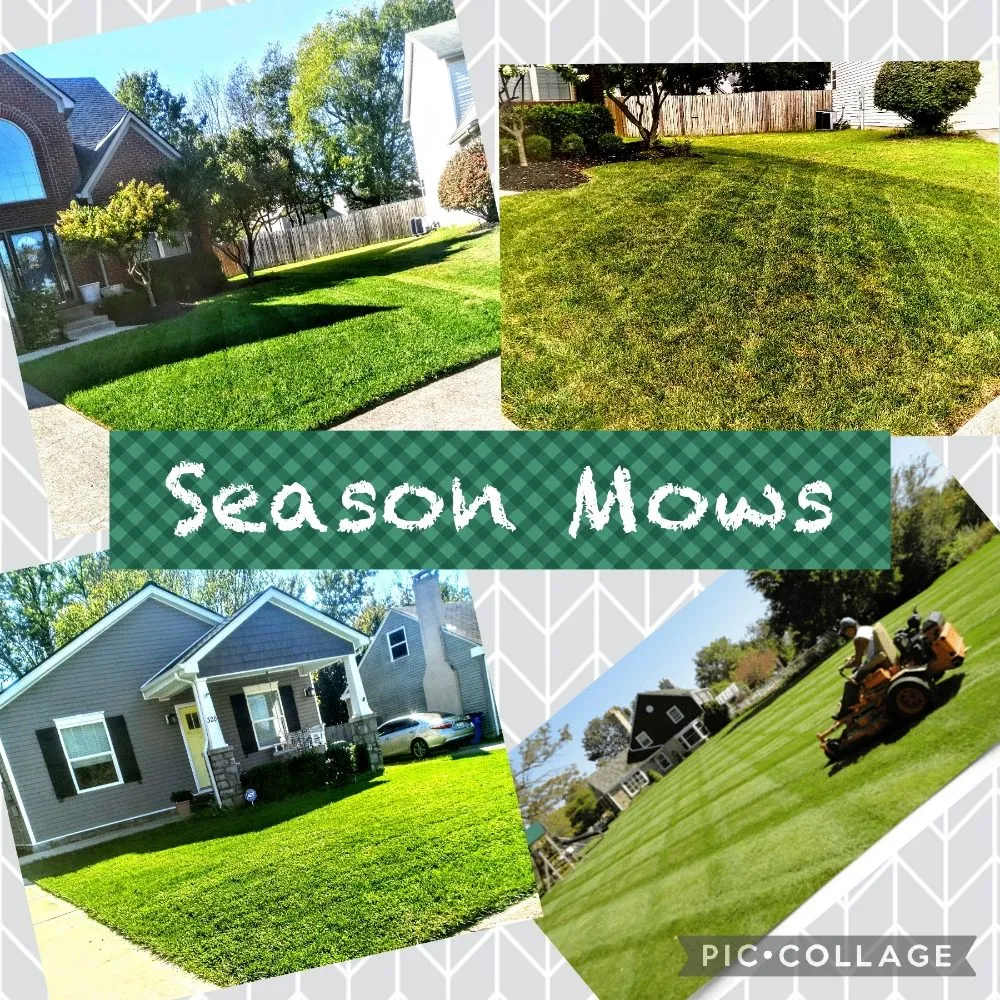 Expert landscaping services with custom design in Lexington, KY by Rydell's lawncare & Handyman services