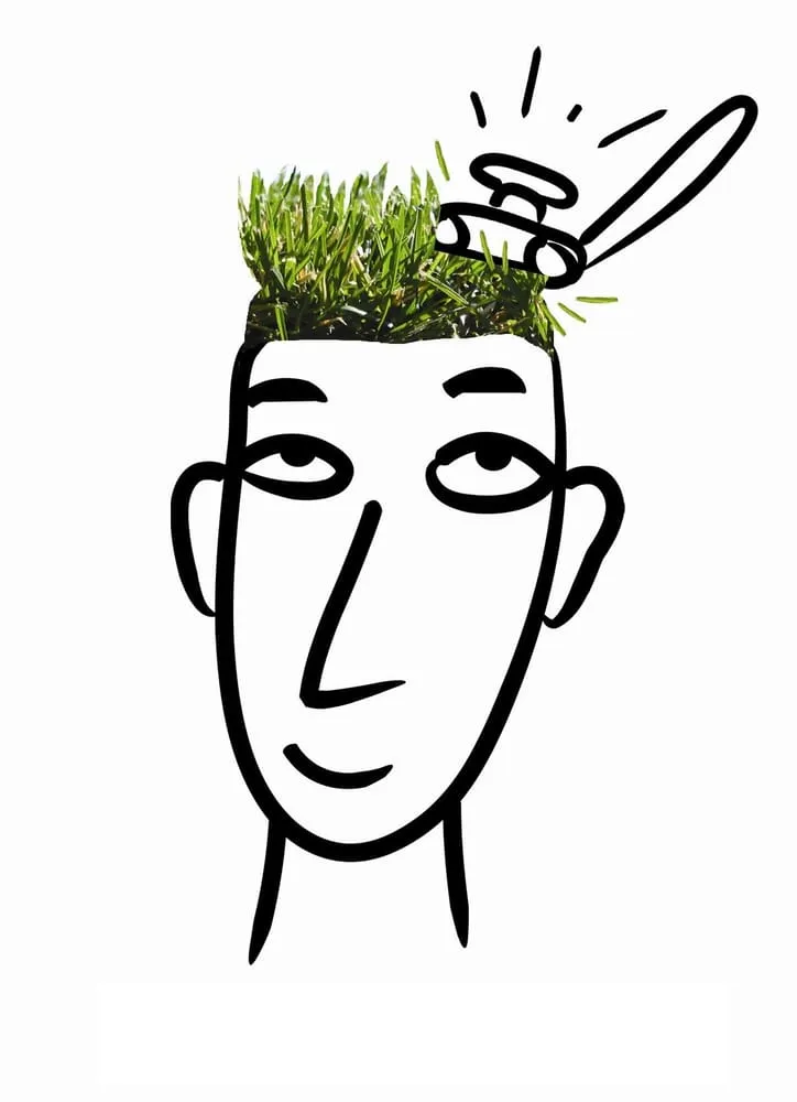 Custom outdoor landscaping for year-round maintenance in Oldsmar, FL by Ryder Lawn Maintenance