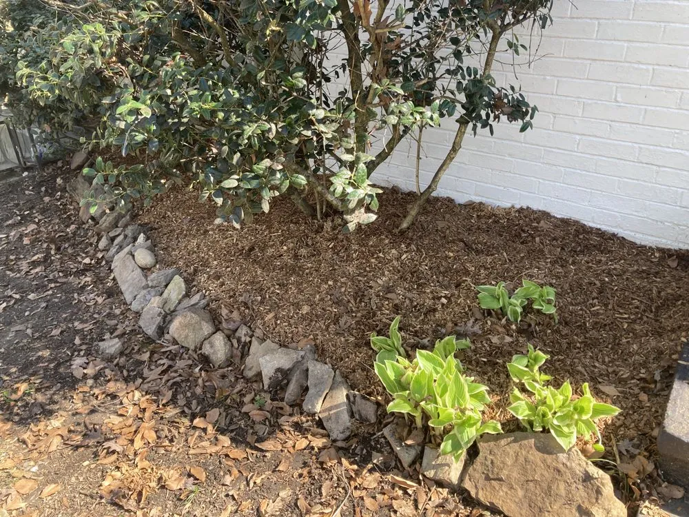 Affordable yard maintenance in Knoxville, TN - Ryder M Lawncare