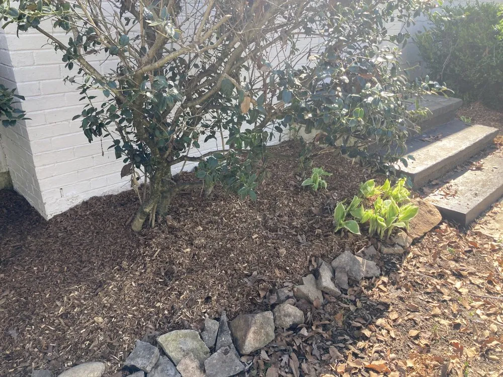 Professional outdoor landscaping in Knoxville, TN - Ryder M Lawncare