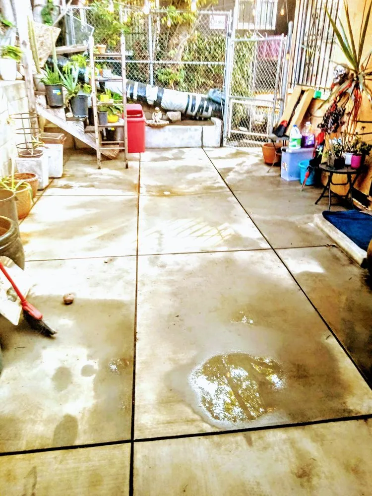 Trusted yard maintenance experts serving Los Angeles, CA - Ryder's Elite Services