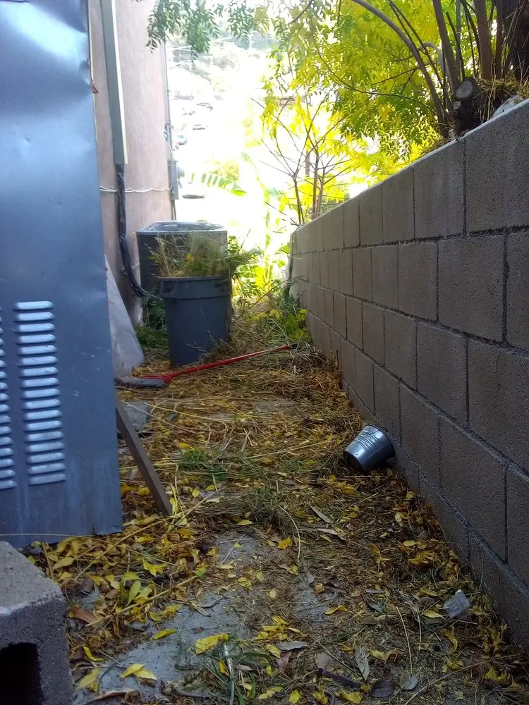 Local landscaping services in Los Angeles, CA by Ryder's Elite Services