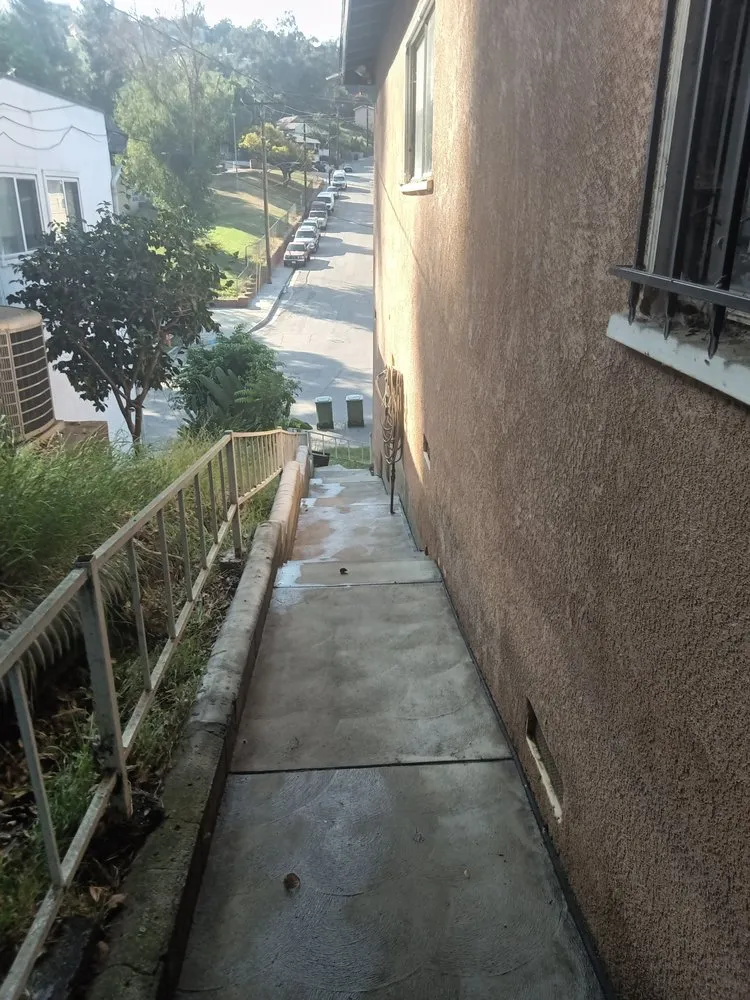 Expert yard cleanup service experts serving Los Angeles, CA - Ryder's Elite Services