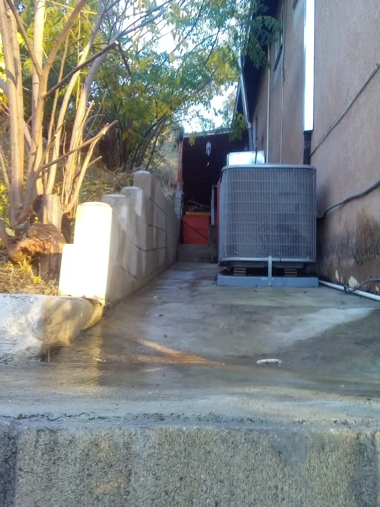 Trusted yard cleanup service in Los Angeles, CA by Ryder's Elite Services