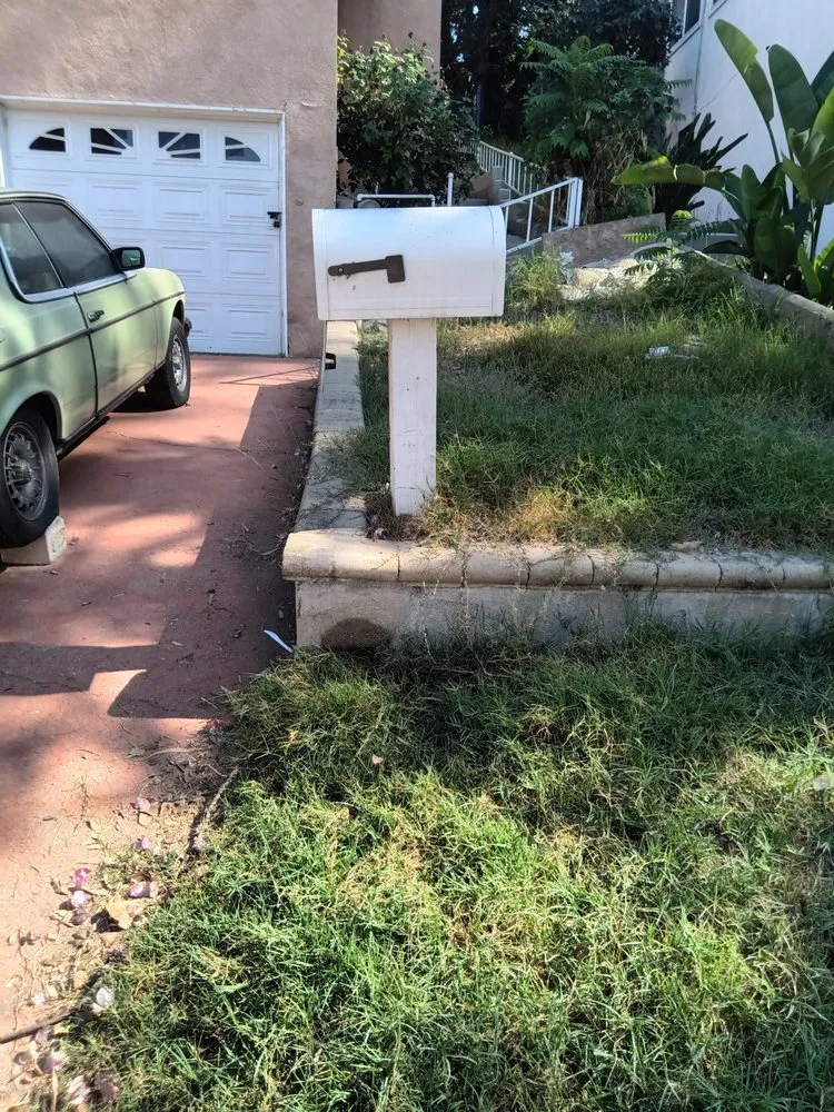 Reliable landscape installation in Los Angeles, CA by Ryder's Elite Services