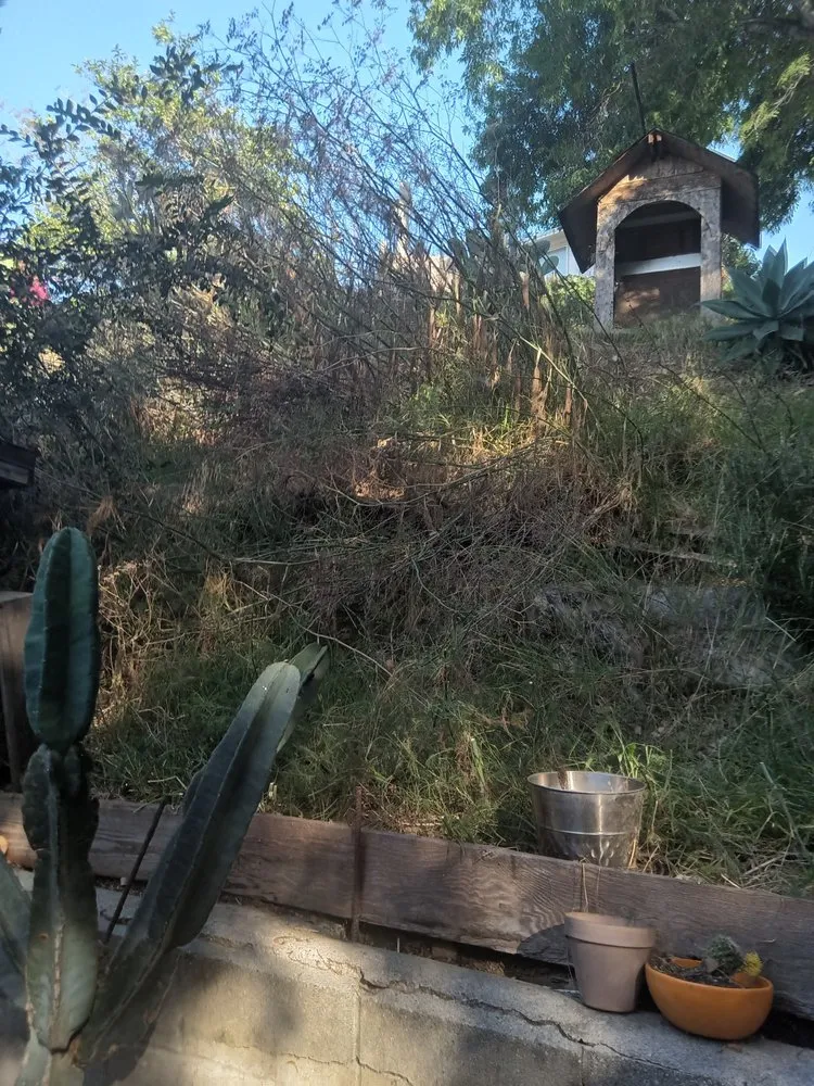 Reliable yard maintenance in Los Angeles, CA - Ryder's Elite Services