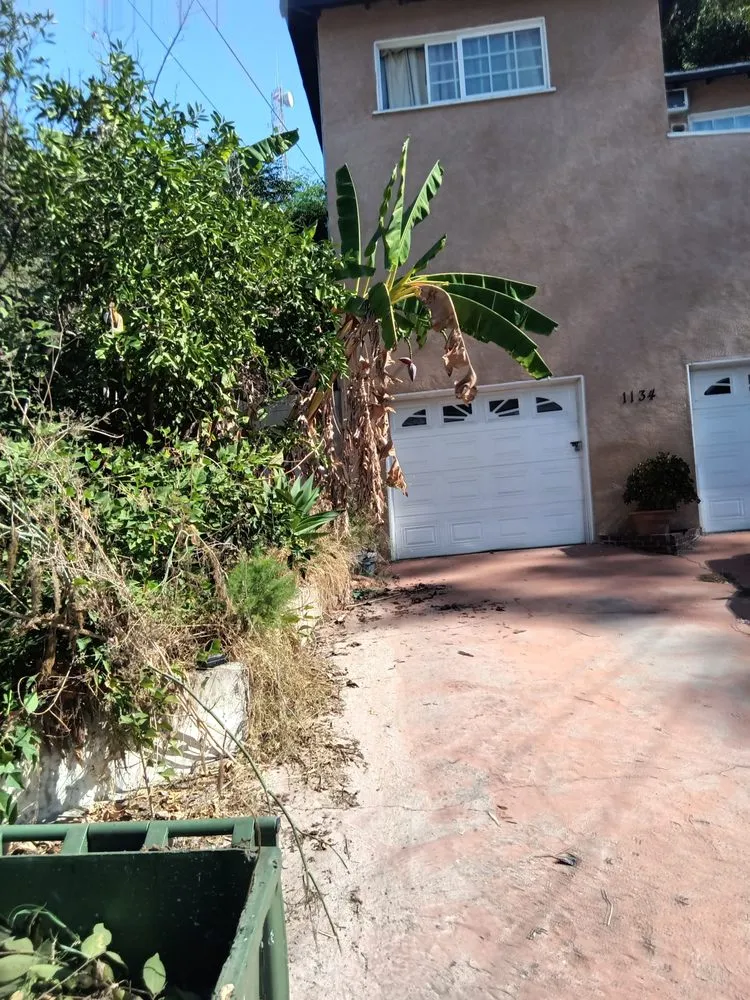 Reliable landscaping services for outdoor upgrades in Los Angeles, CA by Ryder's Elite Services