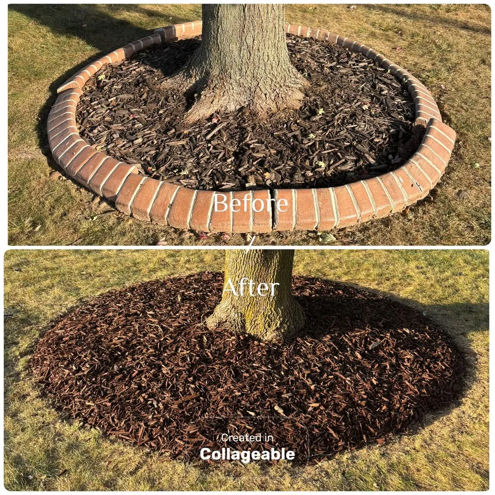 Top-rated yard cleanup service in Sherman, IL - Ryders Lawn Care