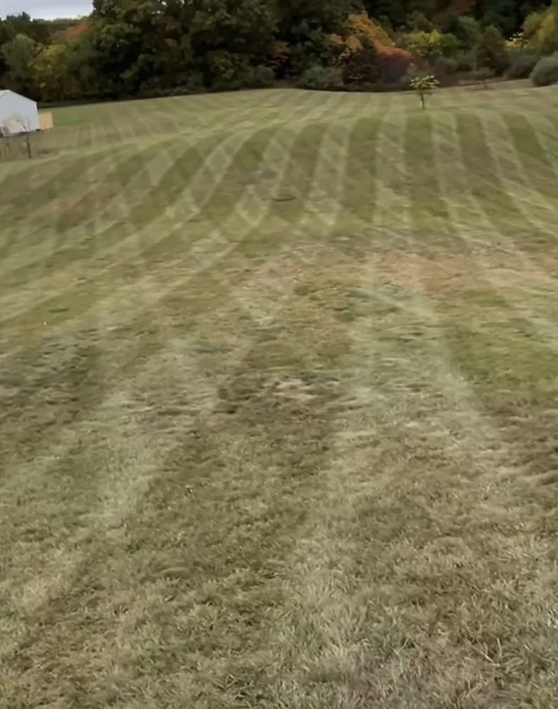 Reliable lawn care service in Sherman, IL by Ryders Lawn Care
