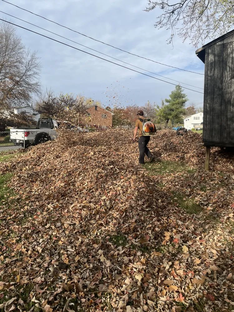 Trusted landscape installation for outdoor upgrades across Roanoke, VA - Ryders Lawncare Services