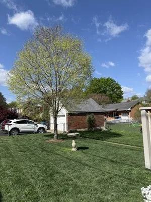 Ryders Lawncare Services Logo