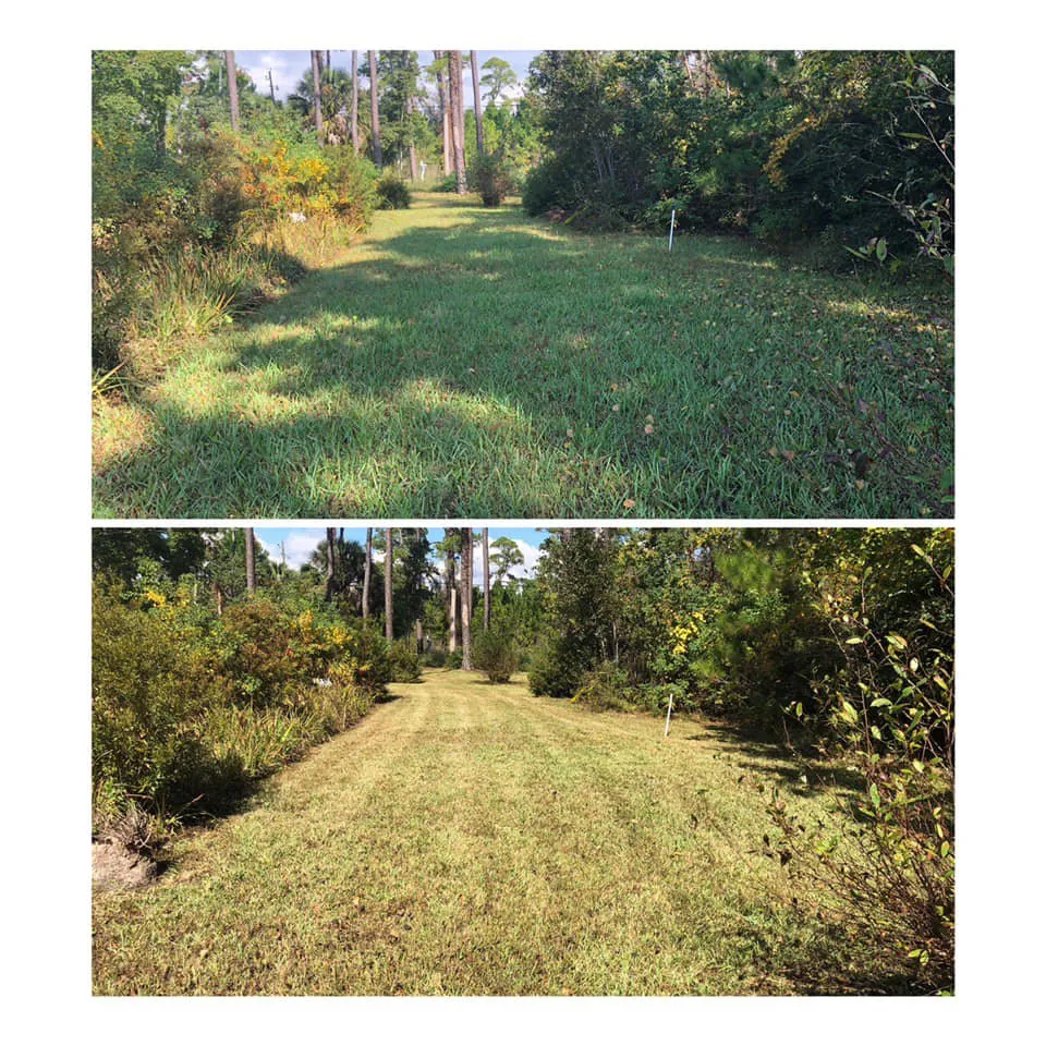 Top-rated landscaping services for outdoor upgrades across Fort Walton Beach, FL - Rye-Land Lawncare