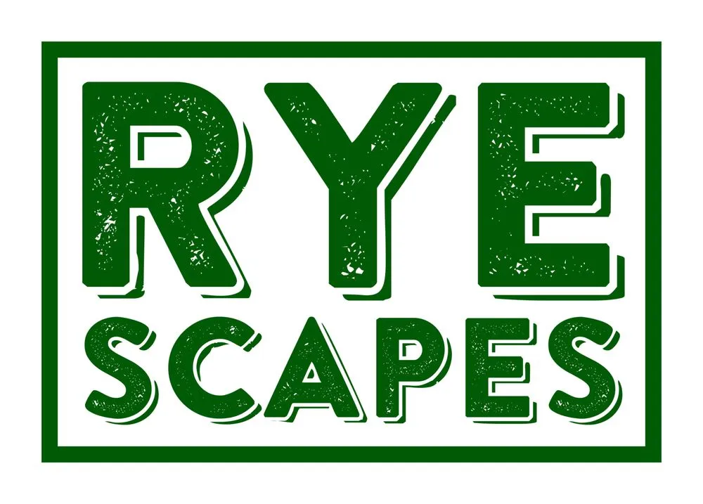 Top-rated landscaping services for beautiful yards across Lorain, OH - Rye Scapes