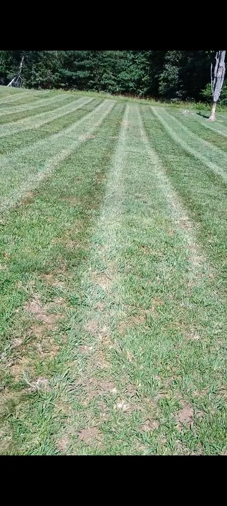 Expert landscape design experts serving Callands, VA - Rye's Lawncare