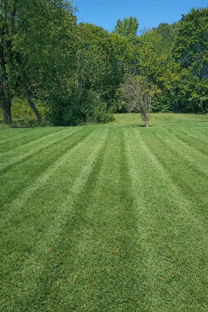 Reliable lawn mowing service in Callands, VA - Rye's Lawncare