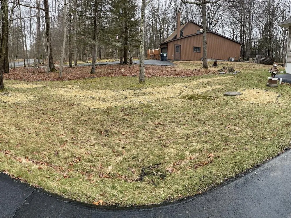 Top-rated lawn care service for beautiful yards in Bushkill, PA by RyGuy’s Mowing & Services