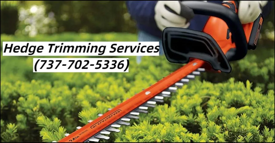 Affordable landscape design in New Braunfels, TX by RYHT Lawn Service