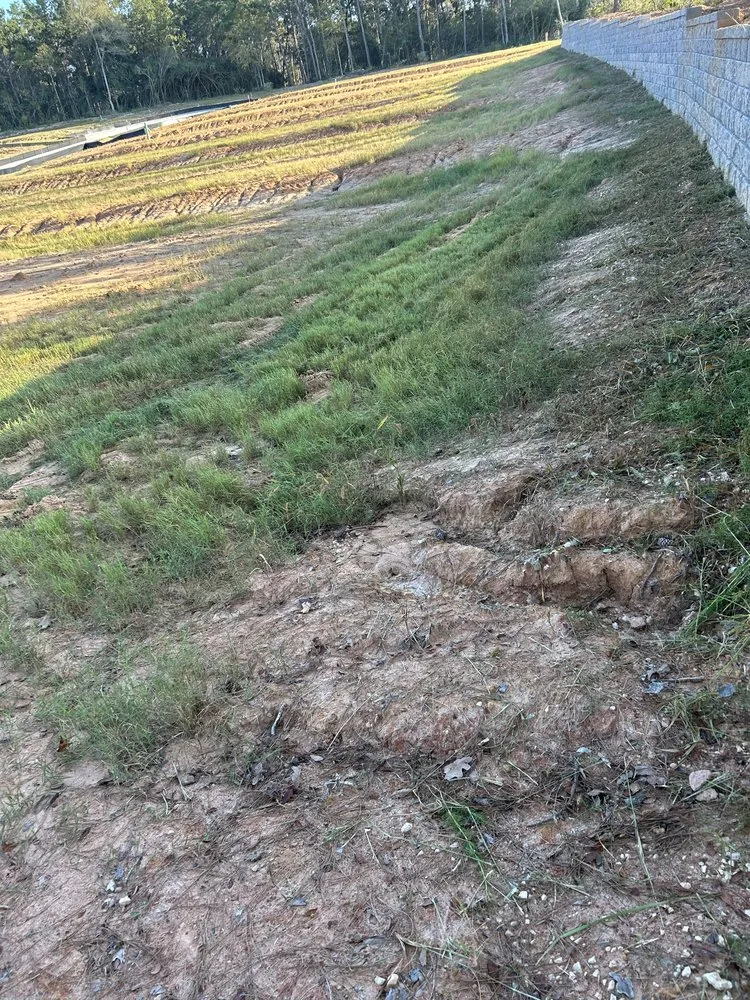 Custom landscape installation experts serving Plantersville, TX - RyJ Landscaping
