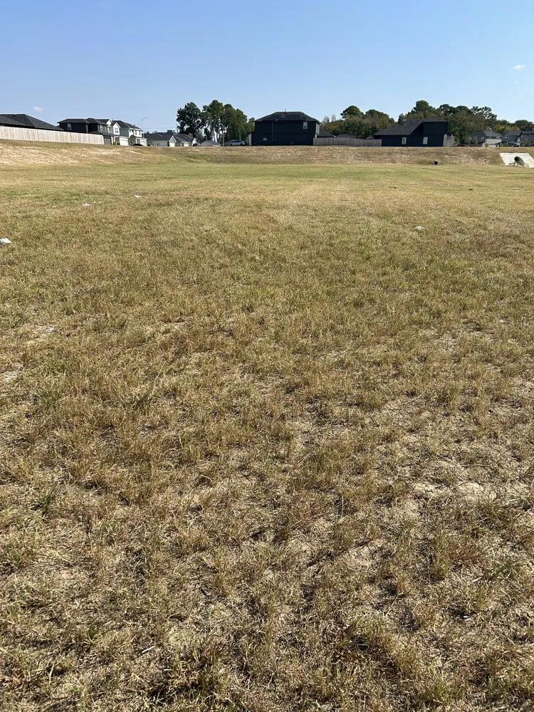 Local garden landscaping in Plantersville, TX by RyJ Landscaping