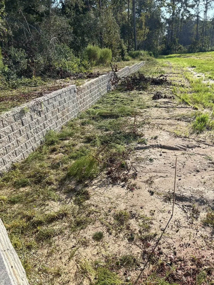 Reliable landscape installation for year-round maintenance across Plantersville, TX - RyJ Landscaping