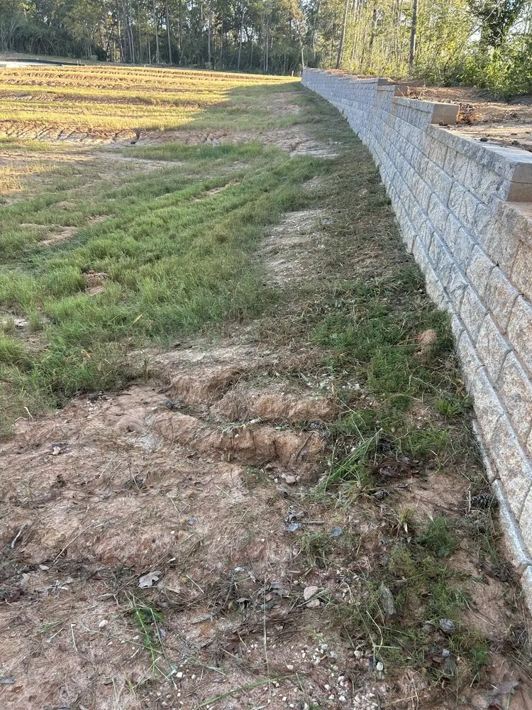 Trusted yard maintenance experts serving Plantersville, TX - RyJ Landscaping