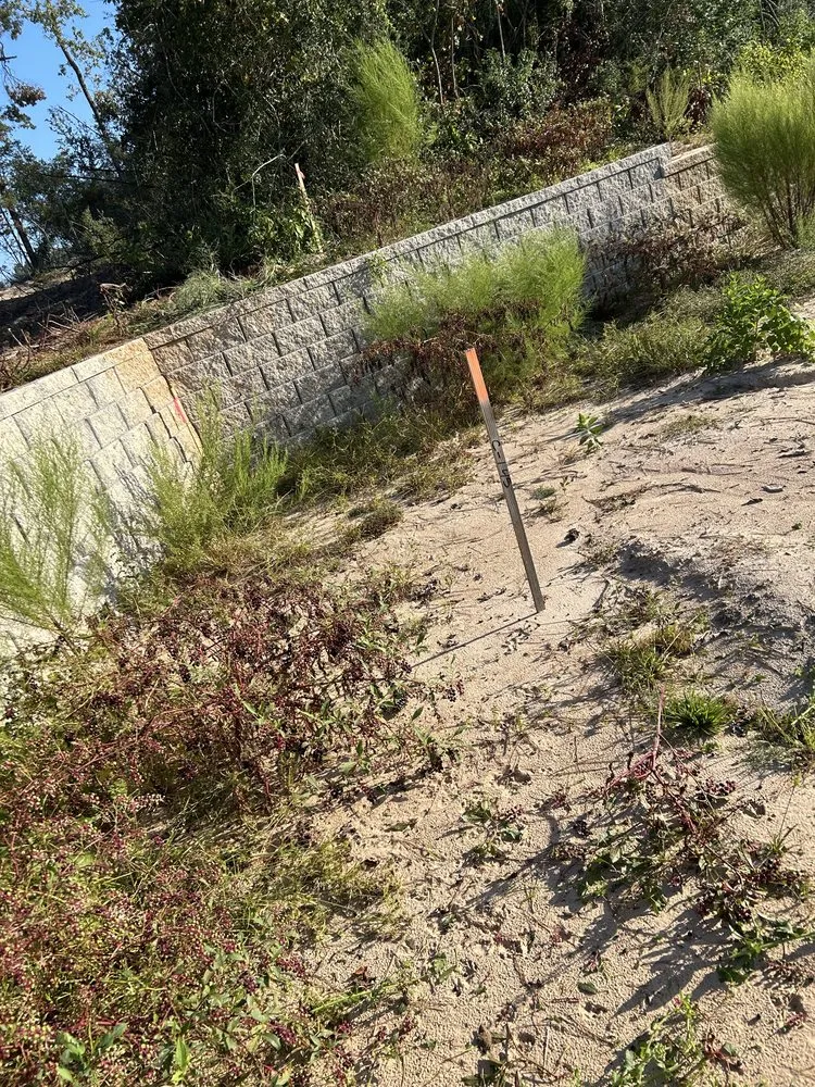Trusted yard cleanup service near you in Plantersville, TX by RyJ Landscaping