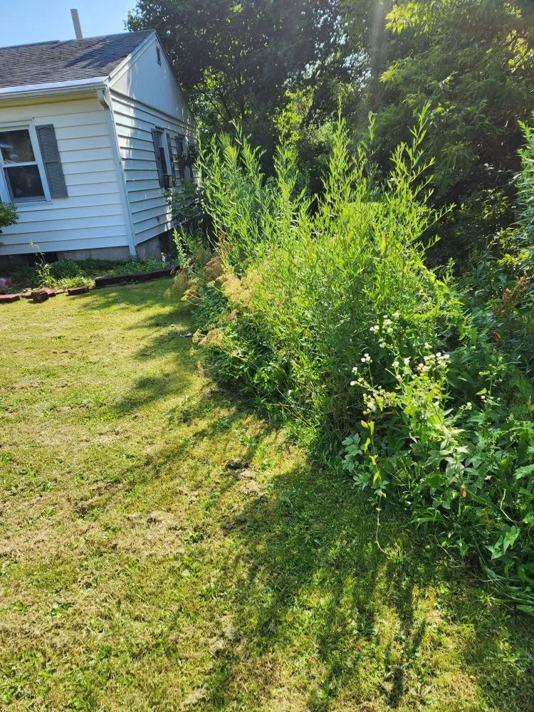 Trusted landscape design for beautiful yards across McGraw, NY - Rykel Solutions