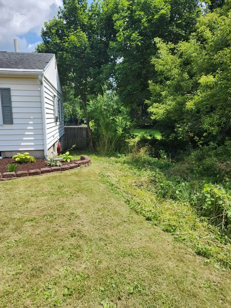 Reliable yard cleanup service experts serving McGraw, NY - Rykel Solutions
