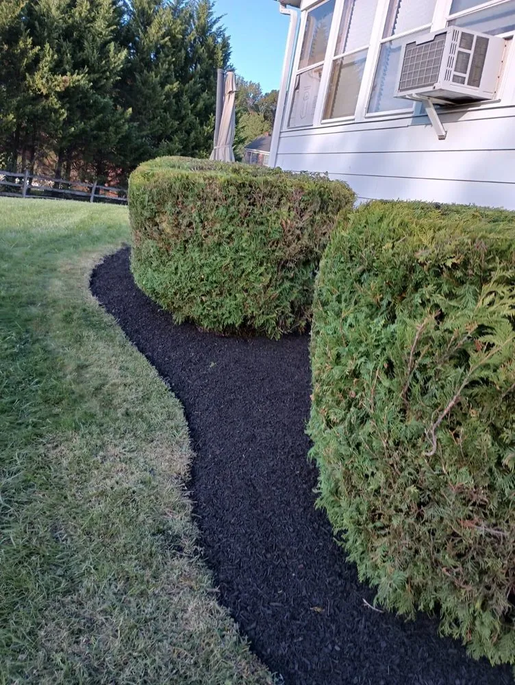 Top-rated yard maintenance for year-round maintenance across New Castle, DE - RYL Landscaping