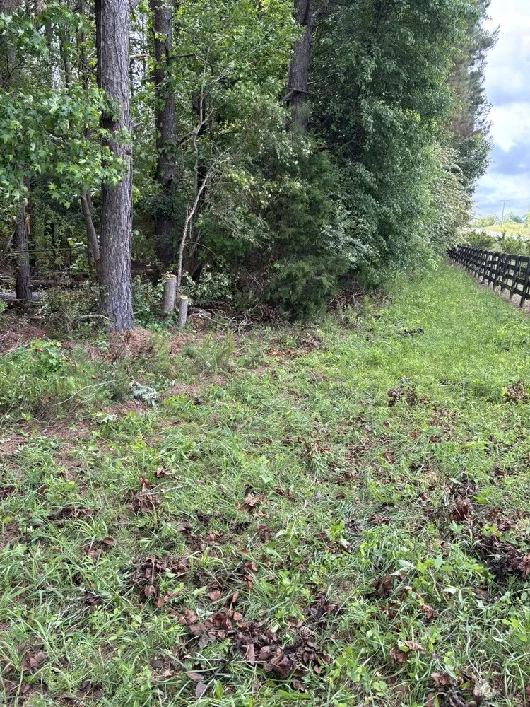 Affordable landscape installation in Griffin, GA by Rylans Outdoor Cleanup