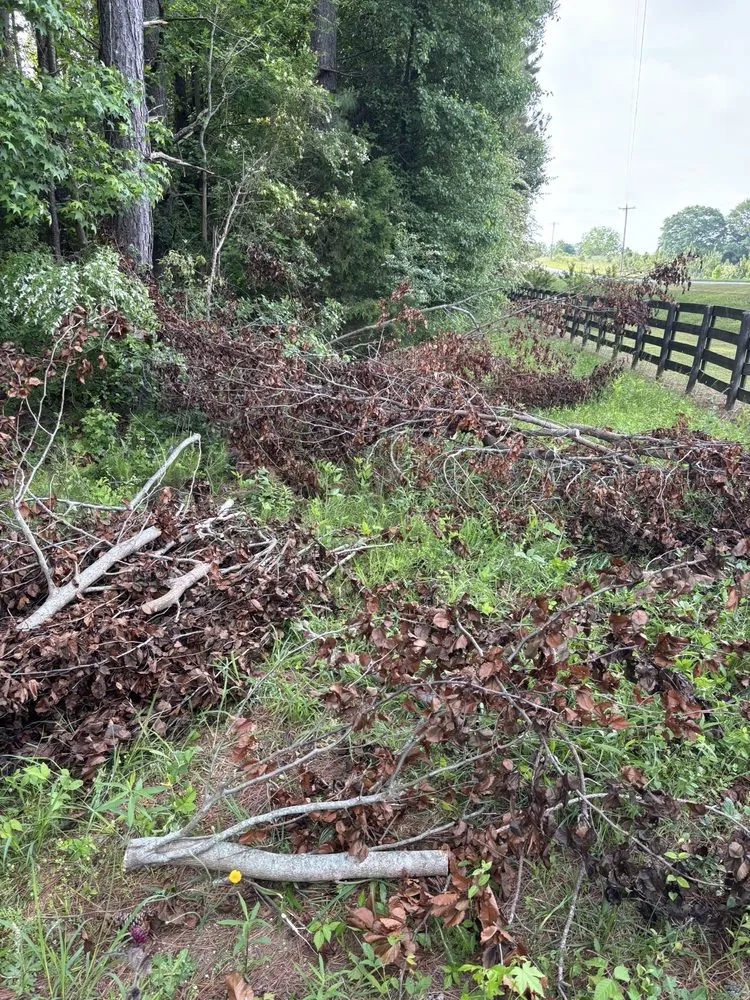 Professional garden landscaping in Griffin, GA - Rylans Outdoor Cleanup