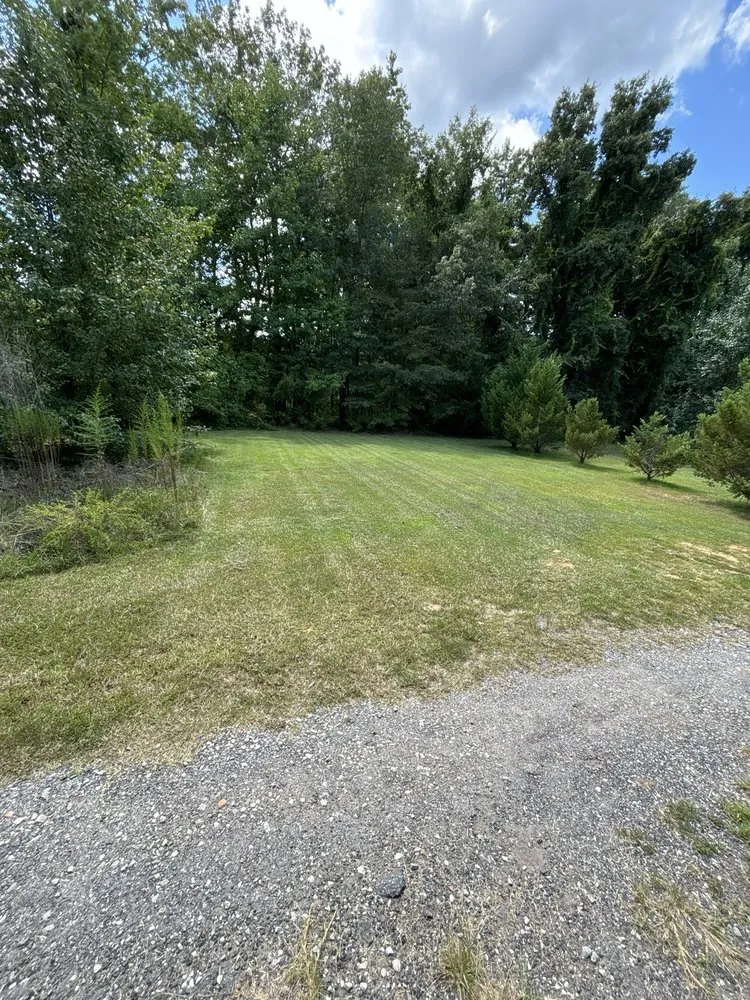 Affordable yard cleanup service experts serving Griffin, GA - Rylans Outdoor Cleanup