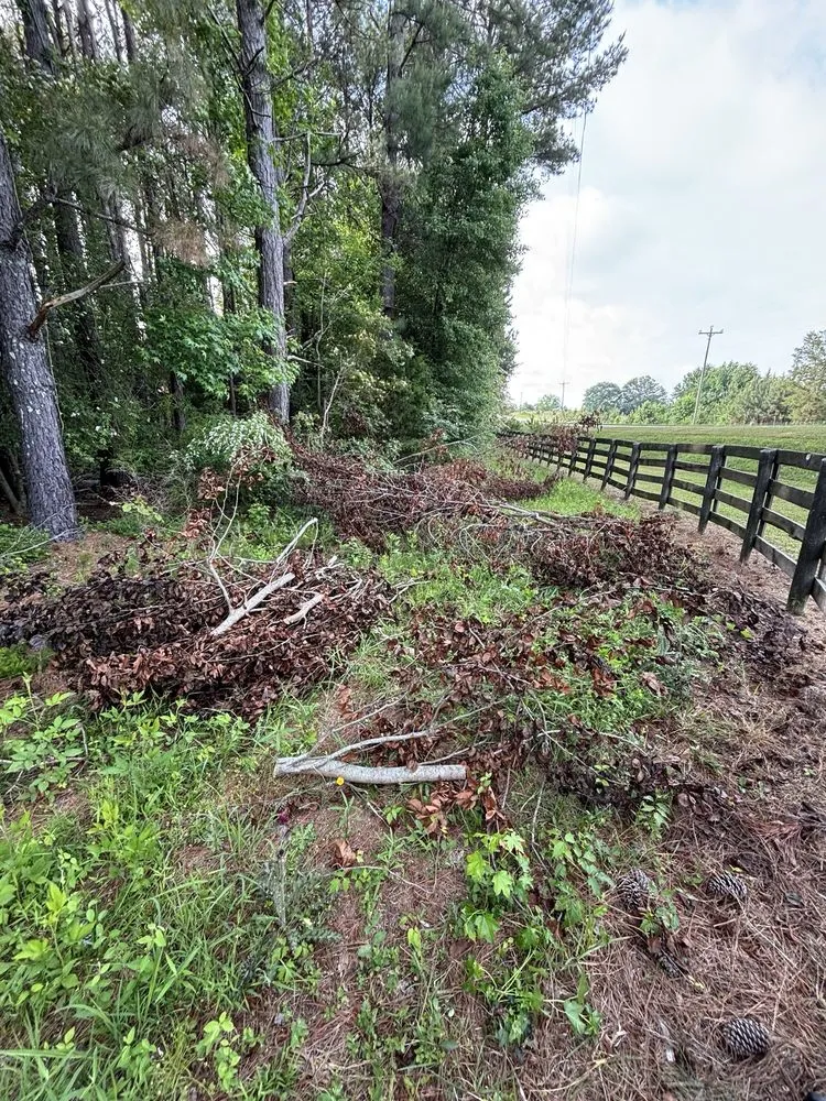 Local landscaping services for beautiful yards in Griffin, GA by Rylans Outdoor Cleanup