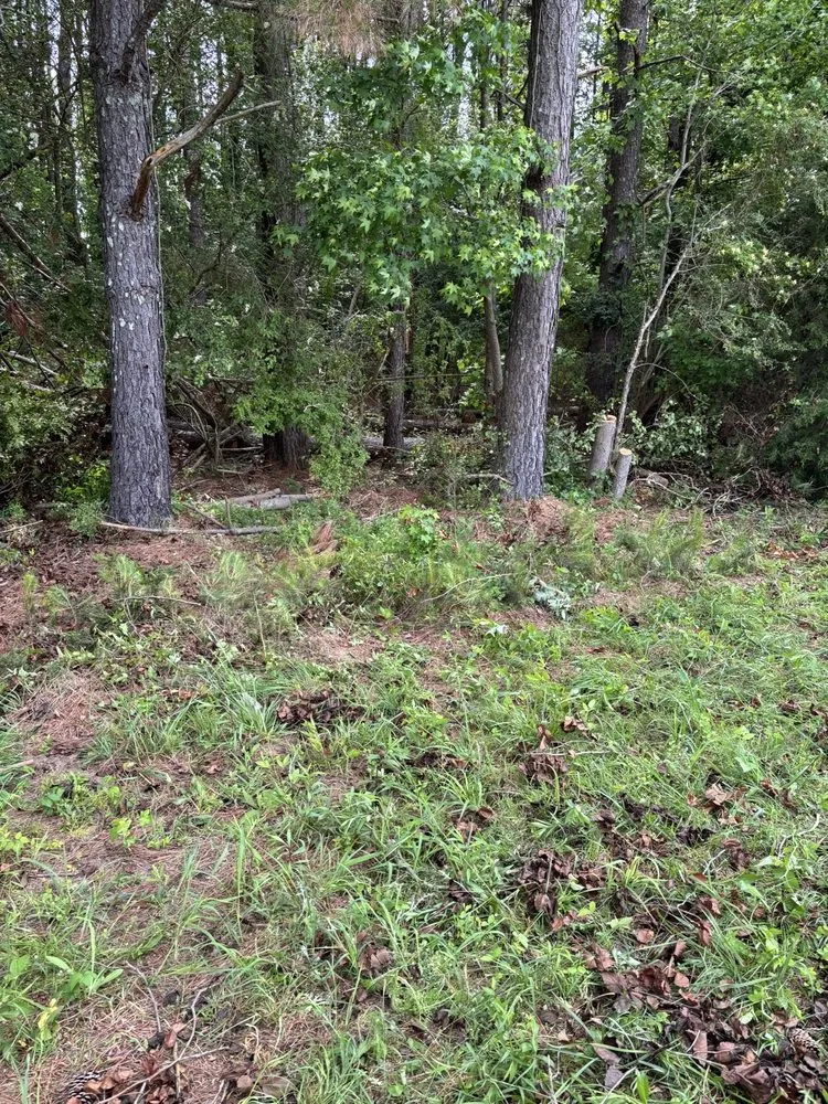 Reliable yard cleanup service in Griffin, GA - Rylans Outdoor Cleanup