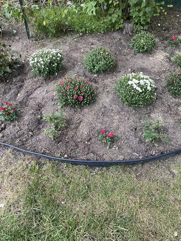 Professional lawn care service in Bridgeport, CT - Rylee Rose Klean Kut