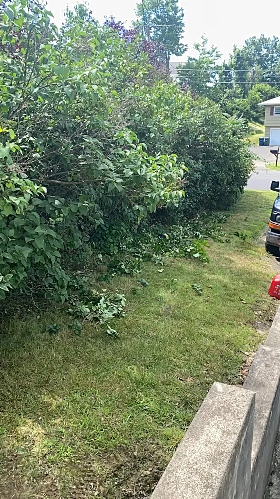 Trusted outdoor landscaping for homes across Bridgeport, CT - Rylee Rose Klean Kut