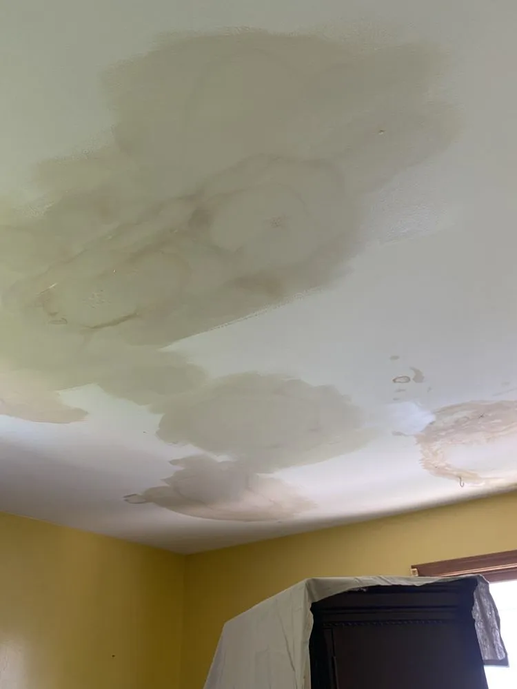 Top-rated garden landscaping in Bridgeport, CT - Rylee Rose Klean Kut