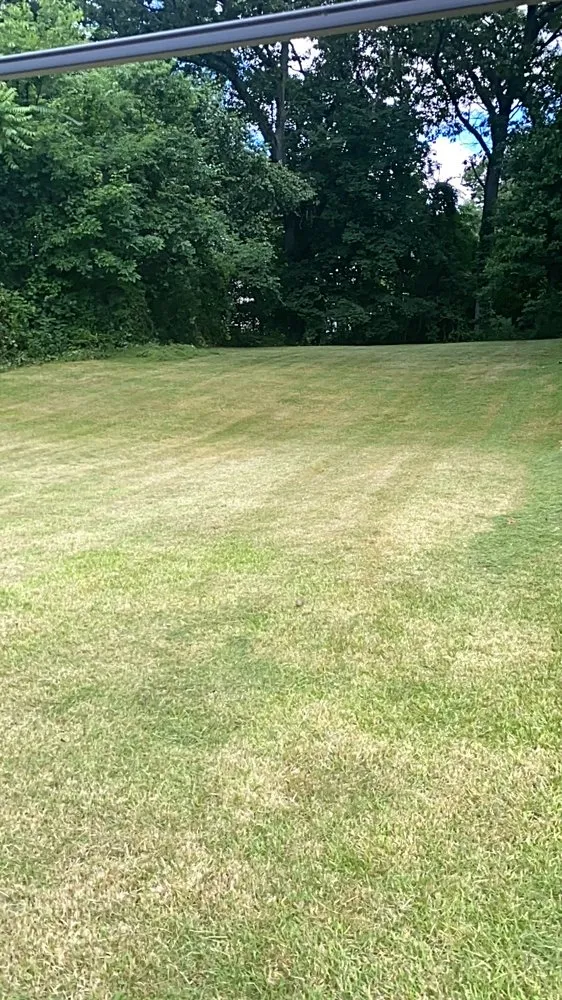 Reliable lawn mowing service for year-round maintenance across Bridgeport, CT - Rylee Rose Klean Kut