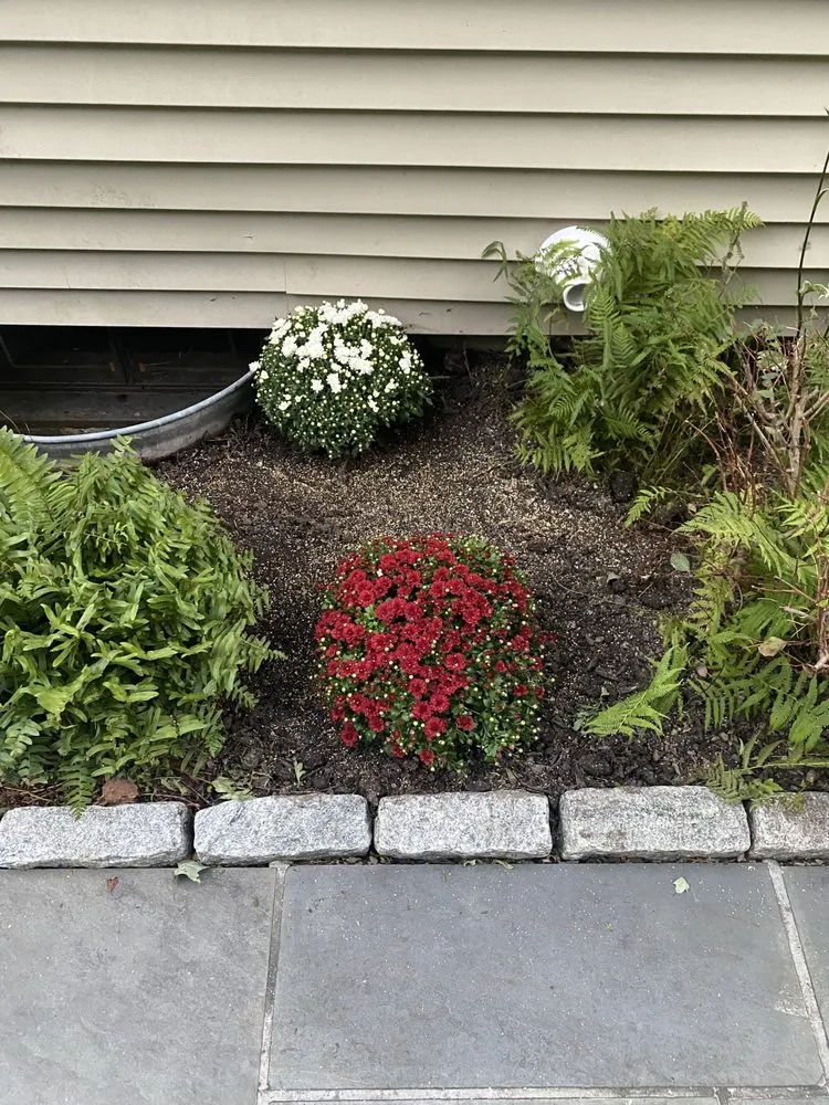 Custom landscape installation for year-round maintenance across Bridgeport, CT - Rylee Rose Klean Kut