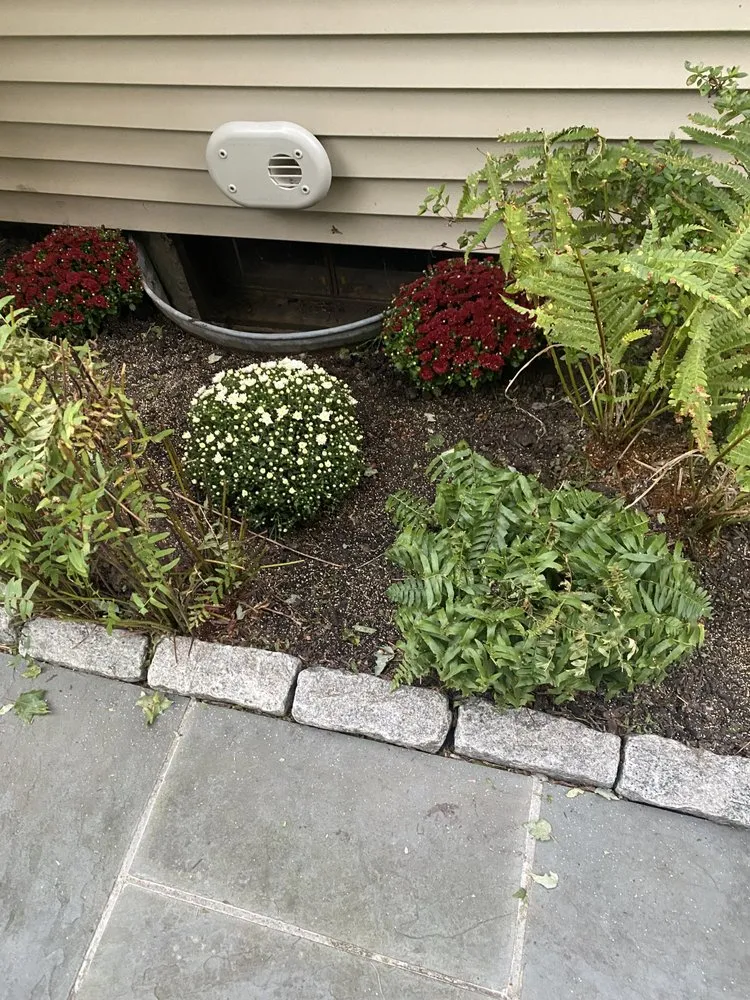 Expert yard maintenance in Bridgeport, CT - Rylee Rose Klean Kut