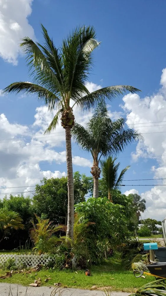 Trusted lawn mowing service near you across Riviera Beach, FL - Rylies Landscape & Design